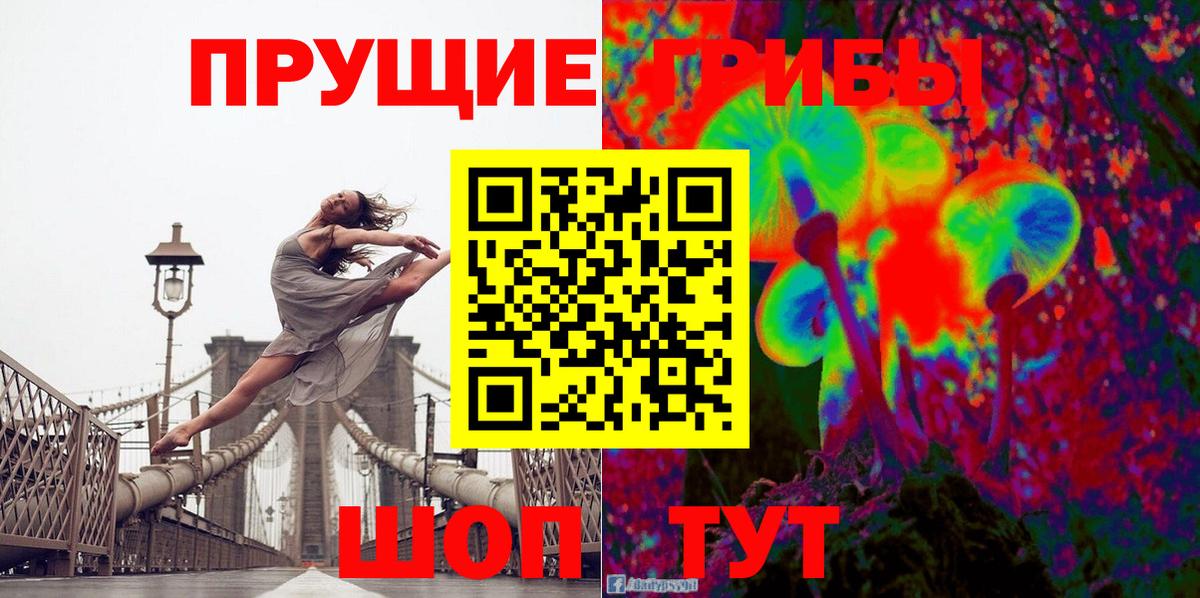 Галлюциногенные грибы мухоморы  Галлюциногенные грибы ЛСД  Вход с VPN  где купить наркоту  Томск 