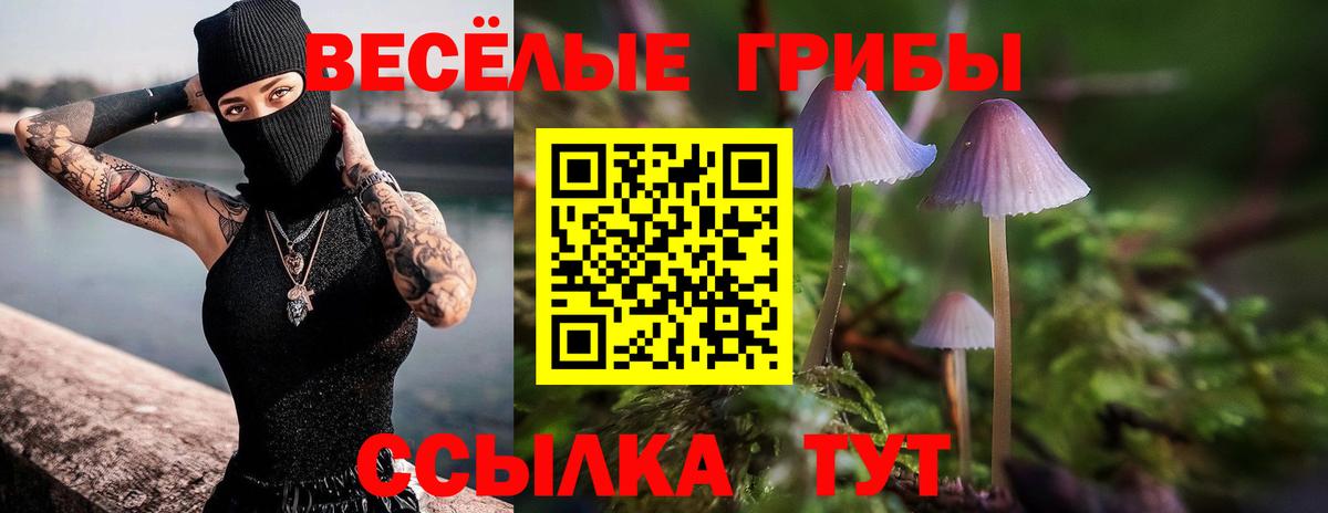 Галлюциногенные грибы ЛСД Томск